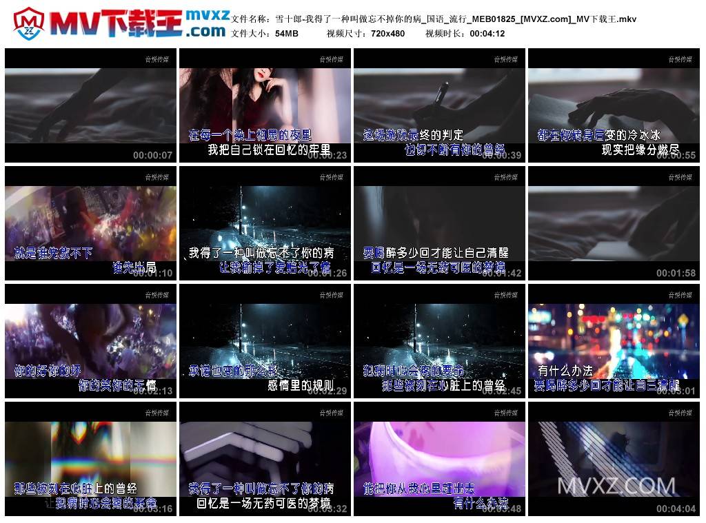 雪十郎-我得了一种叫做忘不掉你的病_国语_流行_MEB01825